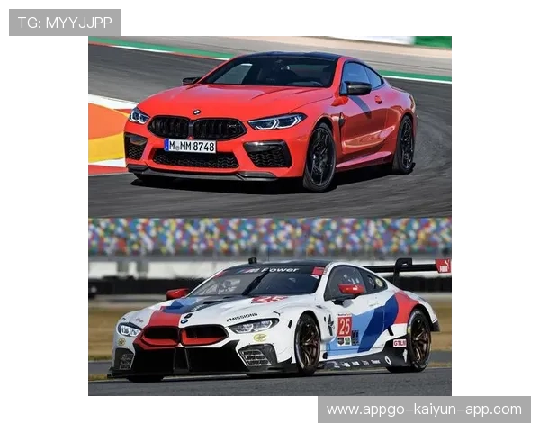 赛车油量不足仍跑完全程,背后隐藏的速度与激情 赛车油量不足仍跑完全程,背后隐藏的速度与激情