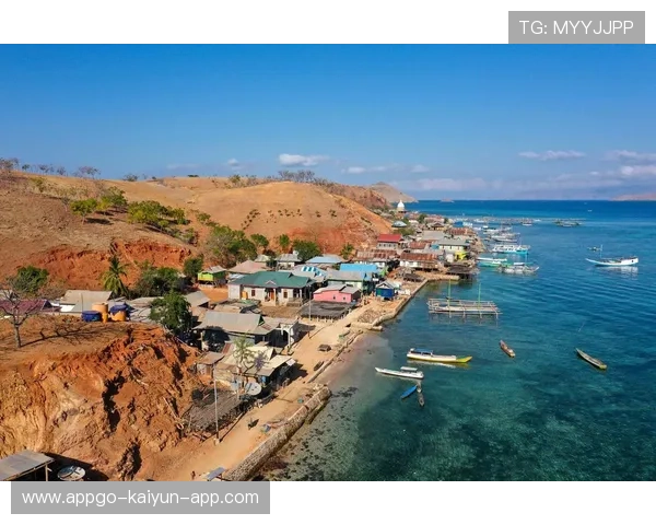 海地为贫困地区建体育设施，海地 扶贫